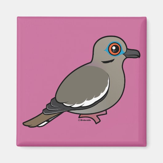 Witvleugelduif Magneet (Voorkant)