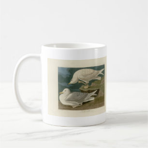 Witvleugelige zilver Gull Audubon Birds of America Koffiemok
