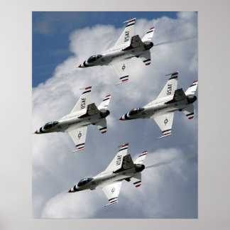 witvogels poster