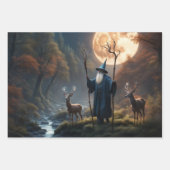 Wizard Inpakpapier Vel (Voorkant)