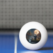 Wizard Pingpongballen (Net)