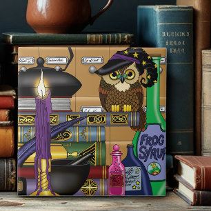 Wizard Uil Boeken Opties Tegeltje