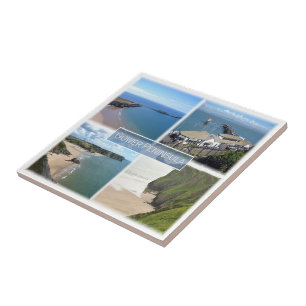 WLS004 GOWER Peninsula Mumbles, Wales, Tegeltje