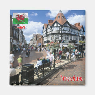 WLS009 WREXHAM, Wales, Europa Magneet