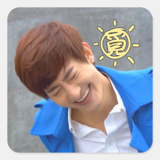 WLWI-sticker Vierkante Sticker