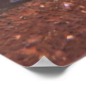 Wobbegong Poster (Hoek)