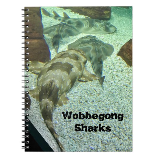 Wobbegong Sharks Notitieboek (Voorkant)