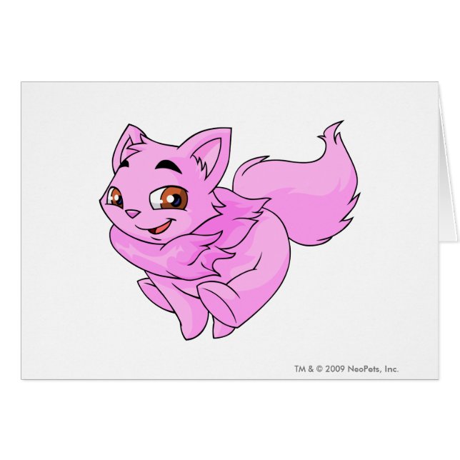 Wocky Pink (Voorkant Horizontaal)