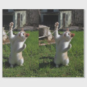 Woest Roofdier Cadeaupapier (Vlak)