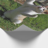 Woest Roofdier Cadeaupapier (Hoek)