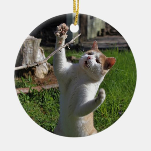 Woest Roofdier Keramisch Ornament (Voorkant)