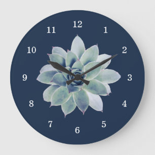 Woestijn Botanische Succulent Elegant Marine Blauw Grote Klok