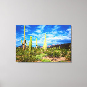 Woestijn cactus landschap, Arizona Canvas Afdruk