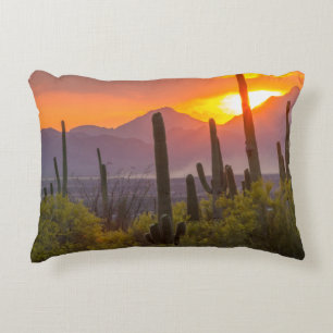Woestijn cactus zonsondergang, Arizona Accent Kussen