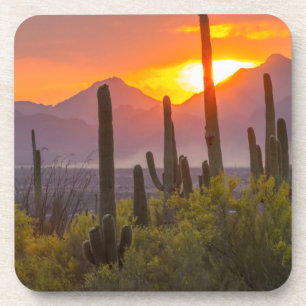 Woestijn cactus zonsondergang, Arizona Bier Onderzetter