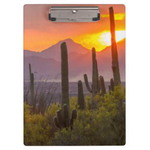 Woestijn cactus zonsondergang, Arizona Klembord