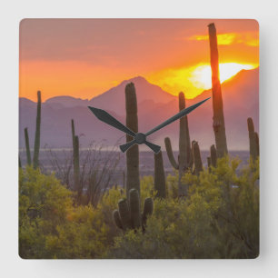 Woestijn cactus zonsondergang, Arizona Vierkante Klok