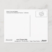 woestijn Cottontail Rabbit Briefkaart (Achterkant)