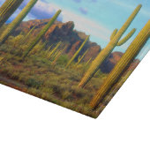 Woestijn in de lente snijplank (Hoek)