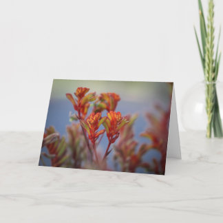 Woestijn Kersttuin Plant Rood Groen Feestdagen Kaart