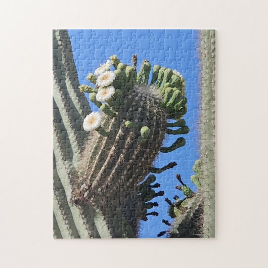 Woestijn Leven Puzzel (Verticaal)