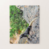 Woestijn Lizard Nevada. Legpuzzel (Verticaal)