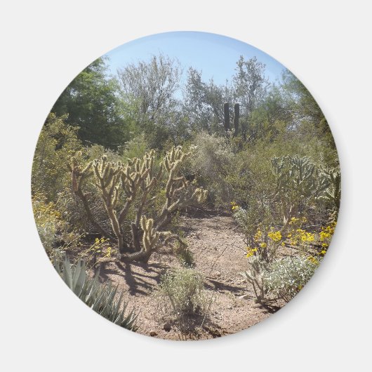 woestijn magneet (Voorkant)