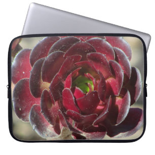 Woestijn Succulent Foto Tuinier Rode Tuin Plant Laptop Sleeve