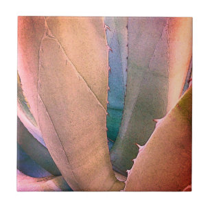 woestijn Succulent Tegeltje