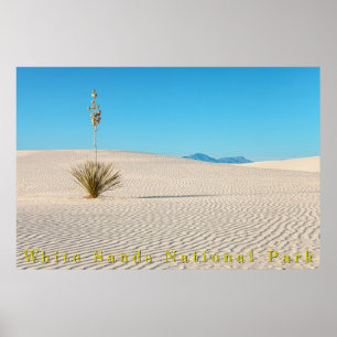 Woestijn Witte Zandlandschap en Yucca Poster