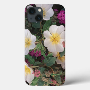 Woestijnavondenprimula en woestijnzandverbena, iPhone 13 hoesje