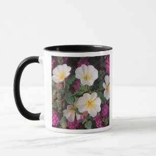Woestijnavondenprimula en woestijnzandverbena, mok