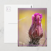 woestijnbloem briefkaart (Voorkant / Achterkant)