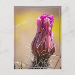 woestijnbloem briefkaart
