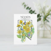 Woestijnbloemen Nevada Lupines Balsamroot Briefkaart (Staand voorkant)