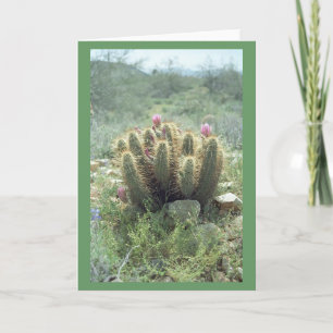 Woestijnbloesem Cactus Notitiekaart of Wenskaarten