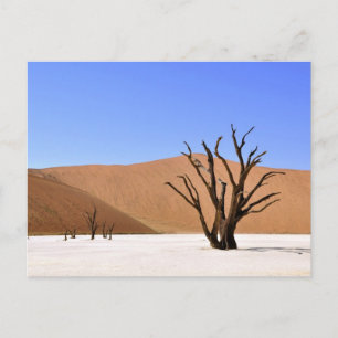 woestijnbomen briefkaart