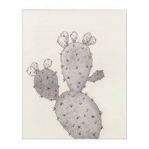 Woestijncactus