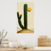 woestijncactus in de ventilator poster (Keuken)