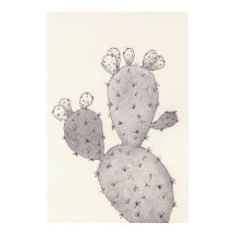 Woestijncactus