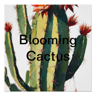 Woestijnelegantie: bloeiende cactus perfect poster