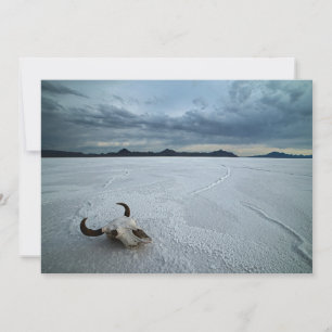woestijnen Bonneville Salt Flats Utah Bedankkaart