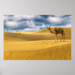 woestijnen   Thar Desert Rajasthan India Camel Poster