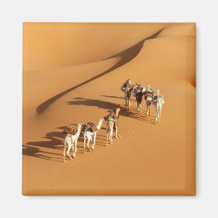 woestijnen Tuareg Walk met Camels Magneet