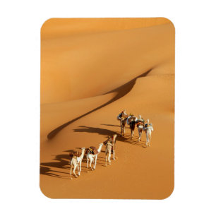 woestijnen Tuareg Walk met Camels Magneet