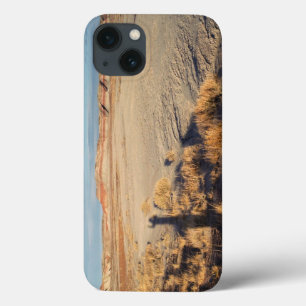 Woestijngolf: Nationaal park Petrified Forest iPhone 13 Hoesje