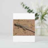 woestijnhagedis briefkaart (Staand voorkant)