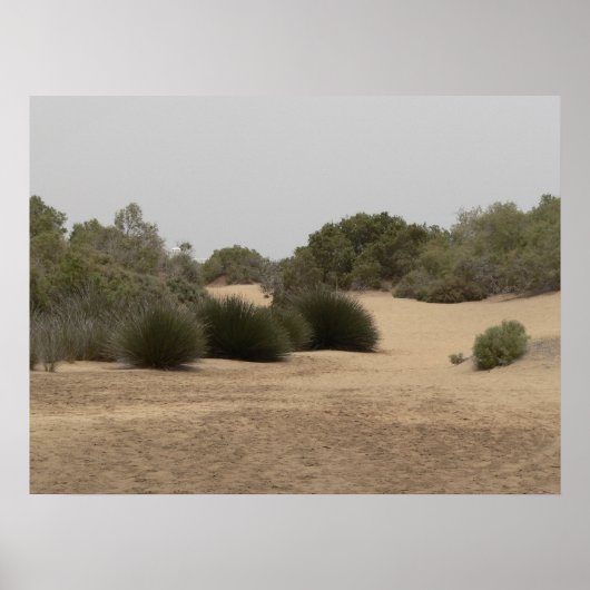 Woestijnland 1 poster (Voorkant)