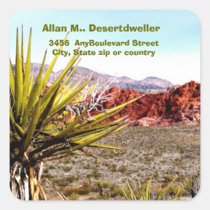 Woestijnlandschap Cactussen retouradres Vierkante Sticker