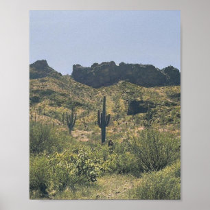 woestijnlandschap van Arizona Saguaro Cactus Poster